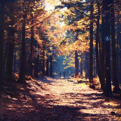 1920 x 1080 HD Wallpapers 1313